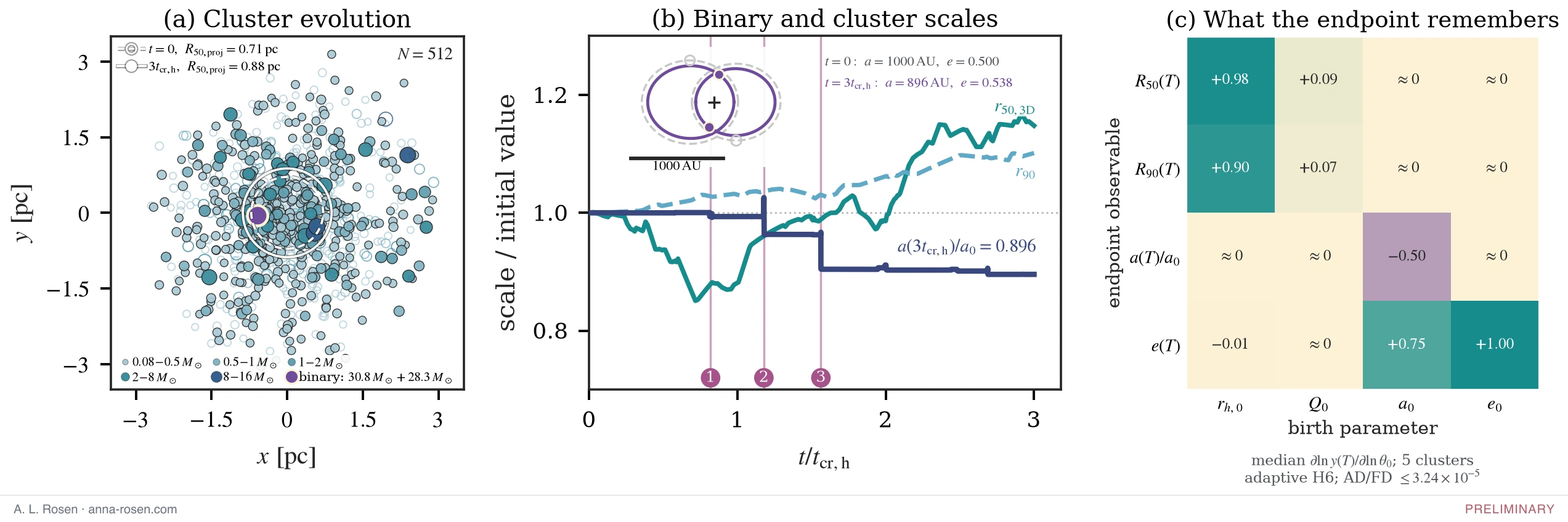 Three panels. (a) A 512-star cluster in the x-y plane, points sized and coloured by stellar mass, with projected half-mass radii circled at t=0 and after three crossing times, and a central massive binary. (b) Binary and cluster scales against time in units of the half-mass crossing time: the half-mass and 90-percent radii expand while the binary semimajor axis drops in three discrete steps at marked encounters. (c) A four-by-four matrix of logarithmic sensitivities of endpoint observables to birth parameters, showing strong diagonal structure: cluster radii respond to the initial half-mass radius, while binary semimajor axis and eccentricity respond to their own initial values.